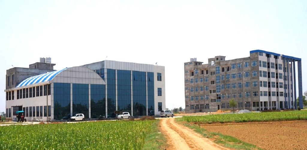 International Institute of Veterinary Education & Research